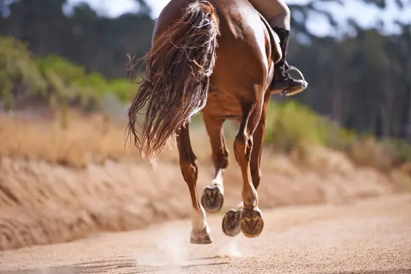 Personne Cheval Course Cheval Pour Équitation Texas Campagne Entraînement Sportif — Photo