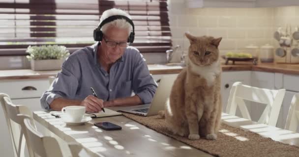 Starszy Mężczyzna Kot Laptop Domowy Pisanie Pomysłów Lub Planowanie Zarządzania — Wideo stockowe