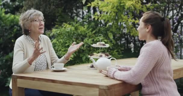 高齢の女性 お茶を庭で飲んで つながったり コミュニケーションをしたり 引退したりする 高齢者 週末のチャット 家族や愛のために裏庭の訪問で話す — ストック動画