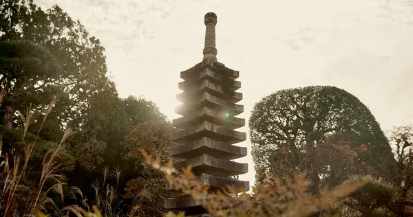 Japanese temple, culture and sculpture in garden for zen, mindfulness or peace with trees in nature. Spiritual, Asian architecture and concrete structure with plants in forest or woods in morning.