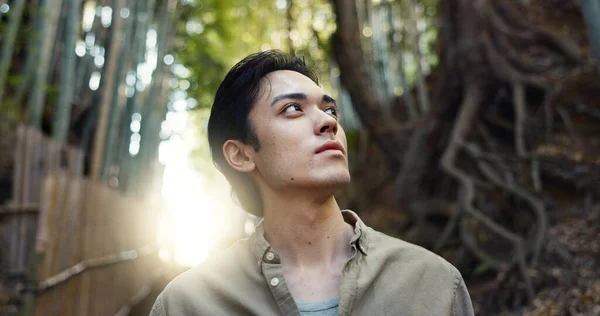 Face, thinking or Asian man in forest for journey on holiday, vacation for freedom or wellness. Hiking, travel and Japanese male person with insight for calm, peace and inspiration to relax in park.