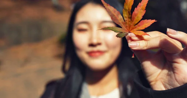 Woman, Asian and face with leaf in autumn, nature and color with happiness outdoor. Environment, plant and smile in portrait, park or garden in Japan with foliage, mockup space and positivity.