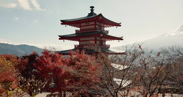 Shinto temple, building and trees in nature for religion, faith and landscape with mountains by sky background. Traditional architecture, praise and worship in environment for culture, peace and calm.
