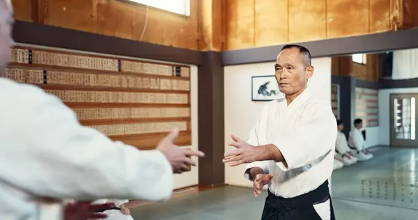 Japanese Sensei Aikido Instructor Fighting Modern Martial Arts Class Self — Stock Photo, Image