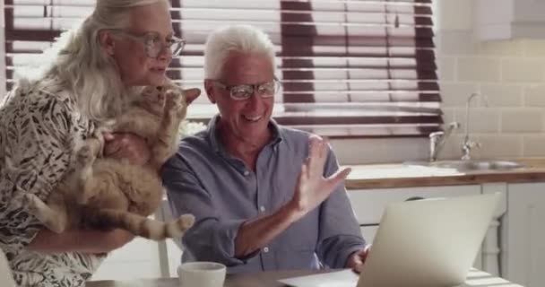 Pareja Mayor Casa Ola Videollamada Conexión Internet Comunicación Con Gato — Vídeo de stock