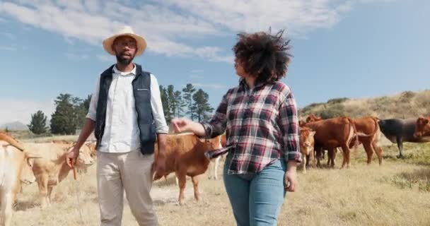 牛畑の農業 田舎の持続可能性と農業についての会話 小規模ビジネスを持つ自然 農夫カップル 食品や乳製品の生産に関する議論 — ストック動画