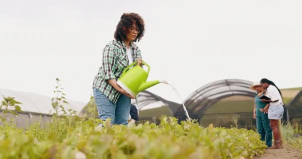 水和妇女与社区花园 可持续性和农业促进植物生长 与农民或志愿者一起从事粮食 作物和非营利供应链工作的工人 田地和非政府组织 — 图库视频影像