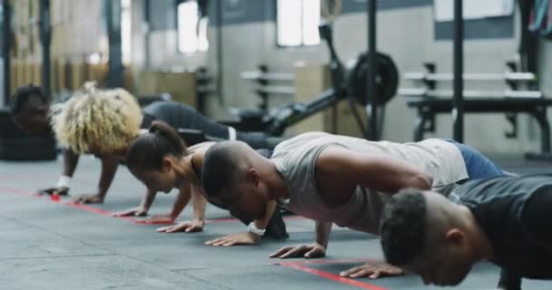 运动训练中的人 团体和俯卧撑 或体操比赛中的团队精神 男子和妇女一起举重以获得强壮的手臂或在室内健康俱乐部中的表现 — 图库视频影像