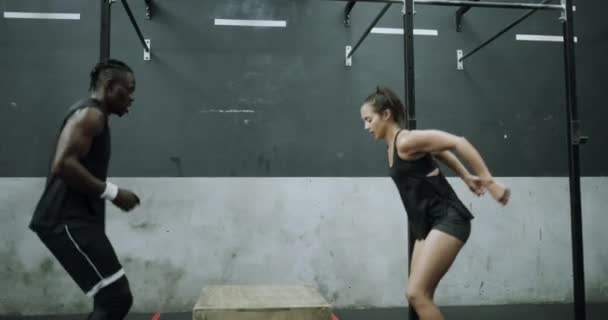 Люди Фитнес Прыжки Коробке Высокой Пятеркой Тренировок Физических Упражнений Успеха — стоковое видео