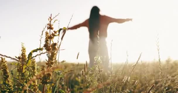Naturaleza Libertad Espalda Mujer Campo Que Abarca Puesta Sol Con — Vídeos de Stock