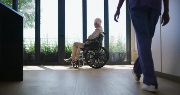 高齢者ケア ヘルスケア 退職後の家庭サービスに関する車椅子 シニアマン 介護者会話 クライアント 障害者に対する親切 クリニック 看護の共感 — ストック動画