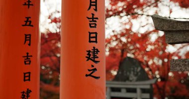 Architecture, torii gates and pillars at temple for religion, travel and traditional landmark for spirituality. Buddhism, Japanese culture and trip to Kyoto, prayer and Fushimi Inari Taisha Shrine. clipart