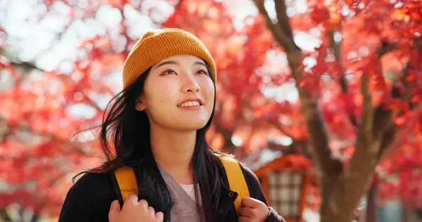 Japończycy Kobiety Podróżować Jesiennej Przyrody Drzew Czerwonych Liści Lesie Kioto — Zdjęcie stockowe