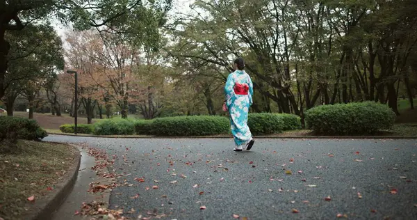 Back, walking and Japanese woman with traditional clothes, fresh air and wellness with hobby, routine and activity. Person, nature and girl with culture, peaceful and calm with adventure and journey.