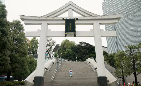 Back, shrine and steps with Japanese woman walking in city temple for belief, faith or religion. Building, worship and location with person on stairs in Tokyo for tradition, mindfulness or adventure.