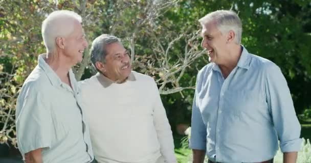 Los Ancianos Divertidos Abrazados Jardín Felicidad Unión Junto Con Reunión — Vídeos de Stock