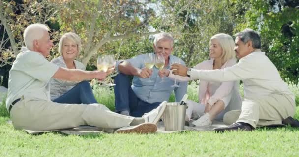 Senior Friends Cheers Outdoor Picnic Garden Backyard Park Wine Bonding — Stock Video