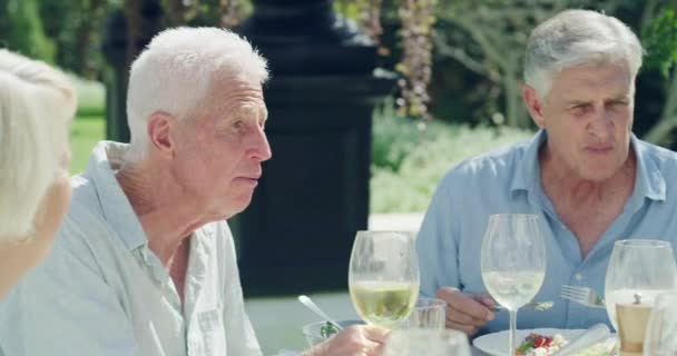Senior Friends Eating Outdoor Picnic Garden Backyard Park Wine Bonding — Stock Video