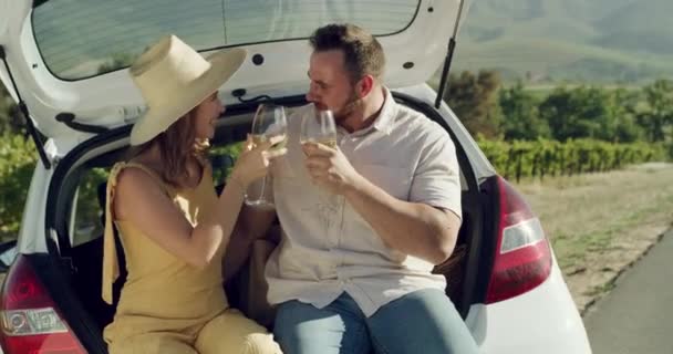 Şarap Tostu Araba Mutlu Çift Seyahatte Yolculukta Seyahatte Kırsal Kesimde — Stok video