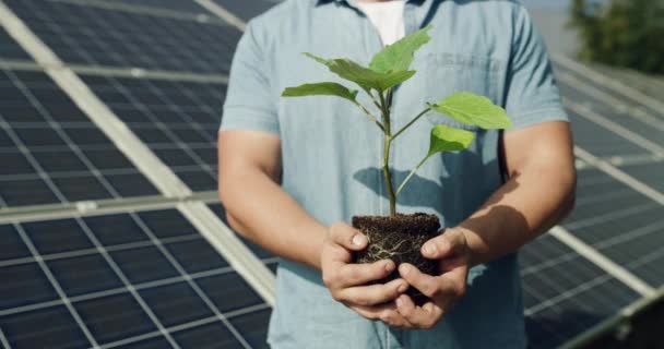 Painel Solar Mãos Agricultor Com Planta Para Ecologia Agricultura Verde — Vídeo de Stock