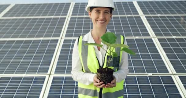 Napelem Arc Mérnök Zöld Ökológiájú Környezetbarát Megújuló Energiaforrásokkal Nyáron Erő — Stock videók