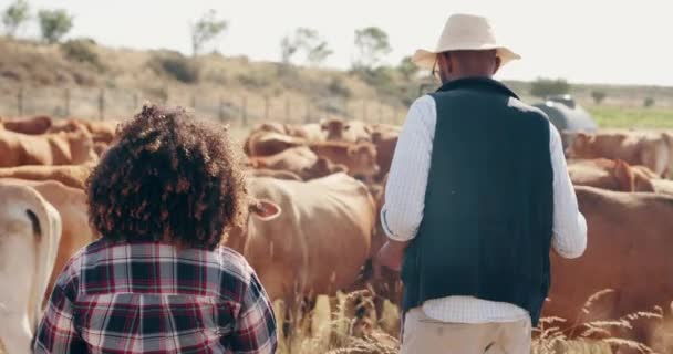Landwirtschaft Frau Und Mann Mit Vieh Wandern Und Nachhaltige Landwirtschaft — Stockvideo