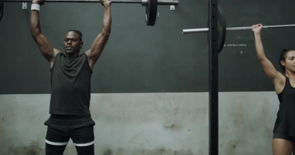 健身和举重与杠铃的力量 肌肉或锻炼在健身房 运动健美男女或健美健美健美健美健美健美健美健美健美健美人士 — 图库视频影像