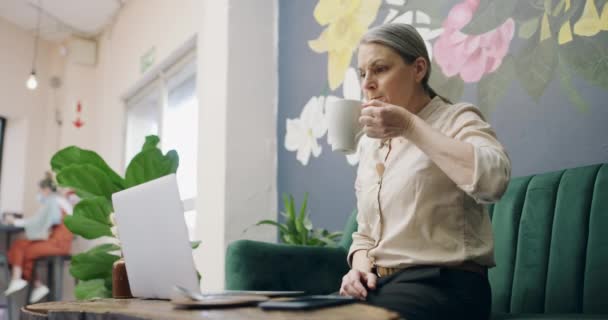 Lunch Cafe Volwassen Vrouw Met Thee Laptop Copywriter Een Pauze — Stockvideo