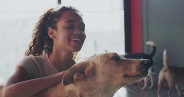 Dierenasiel Knuffel Vrouwelijke Vrijwilliger Met Hond Een Pond Met Liefde — Stockvideo