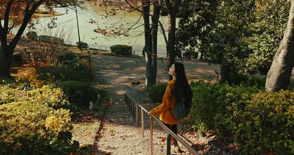 Japonés Parque Mujer Vuelta Pie Viajar Vacaciones Aventura Explorar Camino — Foto de Stock