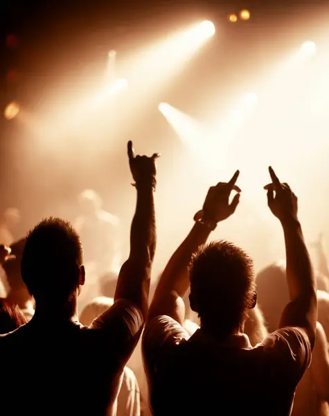 Friends, dancing and crowd or concert silhouette or live music performance or festival, rock or audio. Audience, dj and stage lights for celebration rave or band sound as partying, weekend or night.