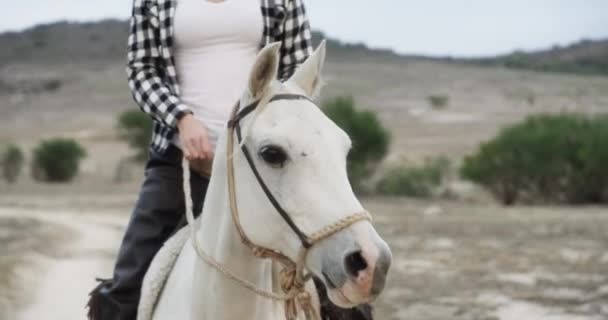 Kowbojka Koń Ranczo Jazdę Konną Teksasie Wsi Gotowe Kowbojskim Kapeluszu — Wideo stockowe