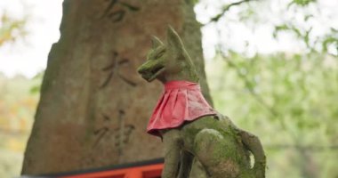 Tilki, heykel ve heykel Japonya 'da gelenek, tarım ve kyoto gezileri için. Tapınaktaki tapınak, kültür ya da korunma için hayvan, simge ya da kutsal sembol.
