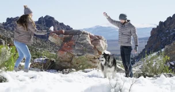 Sneeuw Hond Koppel Spelen Winter Met Vrijheid Avontuur Plezier Vakantie — Stockvideo