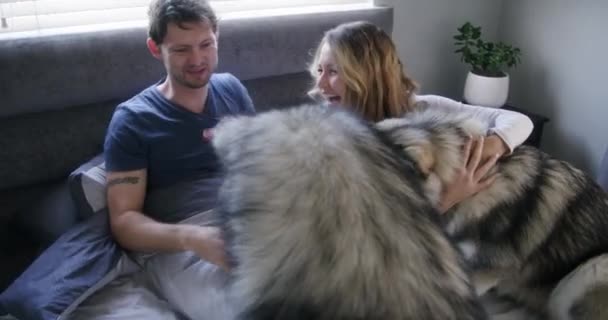 Hug Laughing Happy Couple Dogs Bedroom Bond Wellness Trust Loyalty — Stock Video