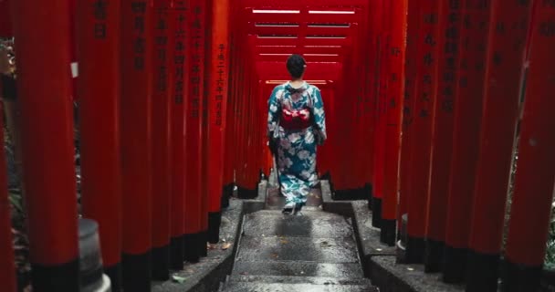 在东京 日本女人走在通往宗教和建筑圣殿的路上或楼梯上 传统服装和通往信仰 崇拜或和平的灵修建筑的阶梯 — 图库视频影像