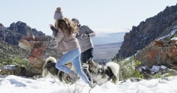 Nieve Animales Pareja Jugando Juego Con Libertad Aventura Diversión Vacaciones — Vídeos de Stock