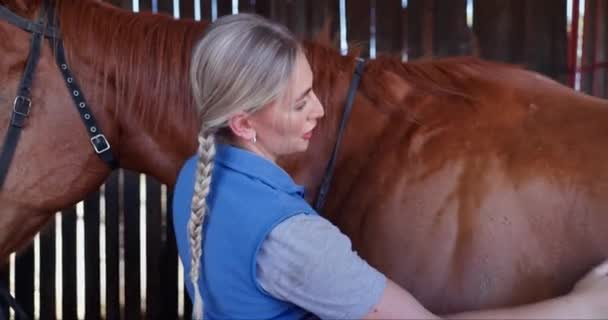 Žena Kůň Farma Štětcem Pro Péči Zvířata Čištění Zdraví Zvířat — Stock video