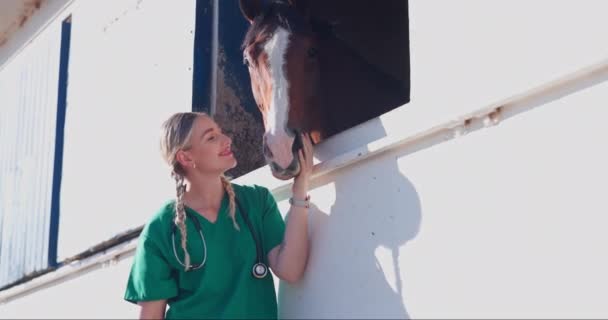 Pielęgniarka Kobieta Koń Zdrowiem Farmie Pocałunkiem Opieką Szczęśliwy Pomoc Miłości — Wideo stockowe