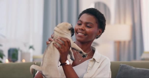 Láska Úsměv Černá Žena Líbání Psa Pohovce Obývacím Pokoji Domova — Stock video