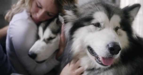 Knuffel Liefde Gelukkig Paar Met Honden Slaapkamer Voor Een Band — Stockvideo