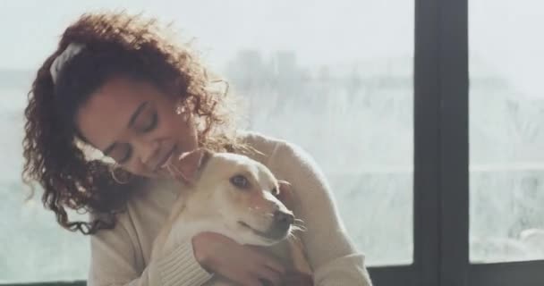Lachen Vrouw Hond Spelen Opvangtehuis Voor Dierenadoptie Aandacht Zorg Puppy — Stockvideo