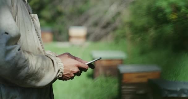 养蜂人手 电话和户外的自然 耕作和养蜂检查 打字和应用 智能手机和点击蜂群 昆虫或网上蜂蜜生产质量保证 — 图库视频影像