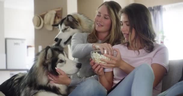 Arkadaşlar Televizyon Izleyip Köpeklerle Patlamış Mısır Evcil Hayvan Bakımı Mutlu — Stok video