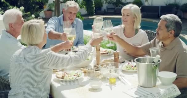 老年人 团体和欢呼声户外与葡萄酒在花园 后院或公园与乐趣 结合和笑 老年人 男人和女人聚在一起聊天 庆祝或放松一下 — 图库视频影像