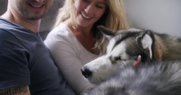 Поддержка Уход Счастливая Пара Собаками Спальне Связи Объятия Оздоровления Доверием — стоковое видео