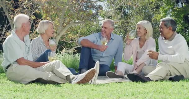 Senior Friends Happy Outdoor Picnic Garden Backyard Park Wine Bonding — Stock Video