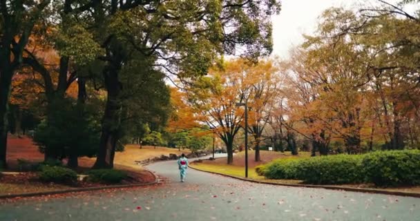 Natureza Caminhada Mulher Japonesa Parque Para Explorar Viagem Aventura Férias — Vídeo de Stock