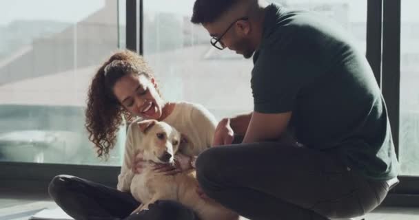 Amor Refugio Para Animales Pareja Con Perro Perrera Para Mascotas — Vídeos de Stock