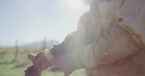 Handschuhe Anzug Und Imker Sind Landwirtschaft Bienenschutz Und Nachhaltigkeit Ländlichen — Stockvideo